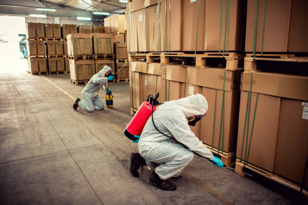 Best Wasp Removal Services  in Evans, GA