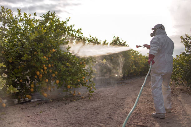 Evans, GA Pest Control Company
