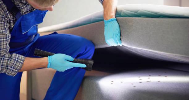 Best Cockroach Control Services  in Evans, GA