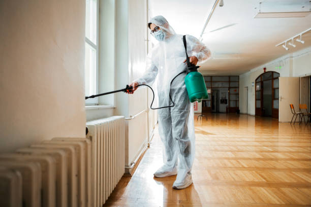 Best Termite Control Services  in Evans, GA
